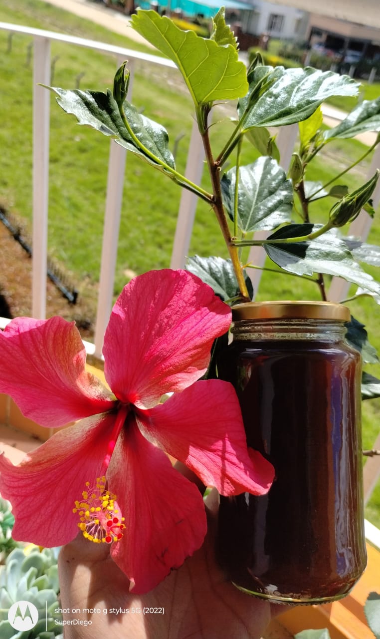 WhatsApp-Image-2025-08-04-at-10.46.21-AM-1 Tienda