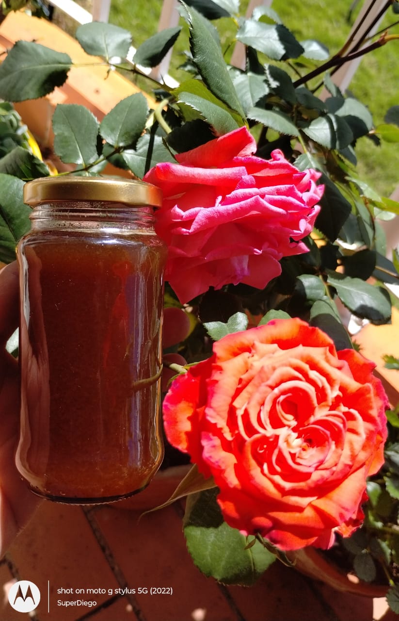 WhatsApp-Image-2025-08-04-at-10.46.21-AM-2 Tienda