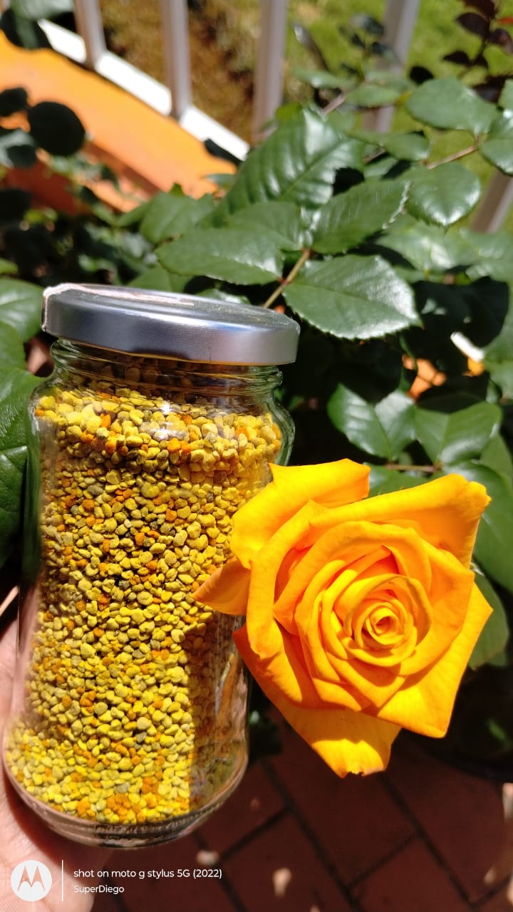 WhatsApp-Image-2025-08-04-at-10.46.22-AM-2 Tienda